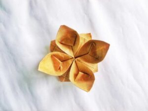 Simple Origami-Style Dogwood