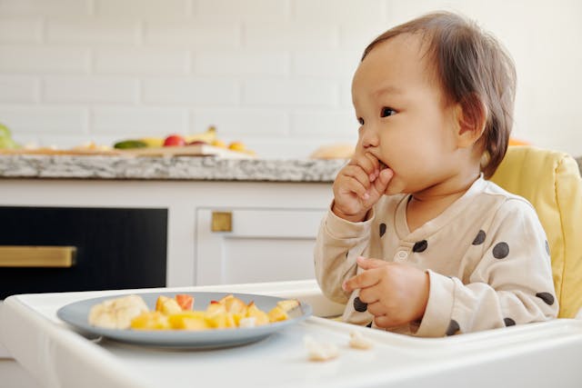 baby meal ideas for 9-12 months
