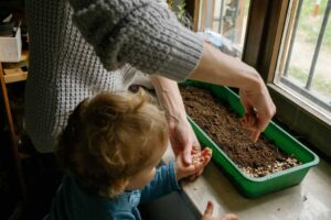 seed planting